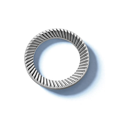 Safety Washers Schnorr Type